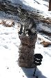 005_2009-0214-1409-07.jpg